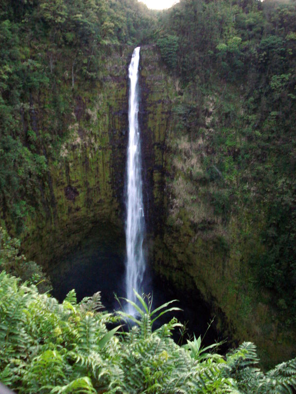 only in Hilo once - I think this is Akaka falls bu...