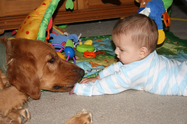 Puppy Kisses...