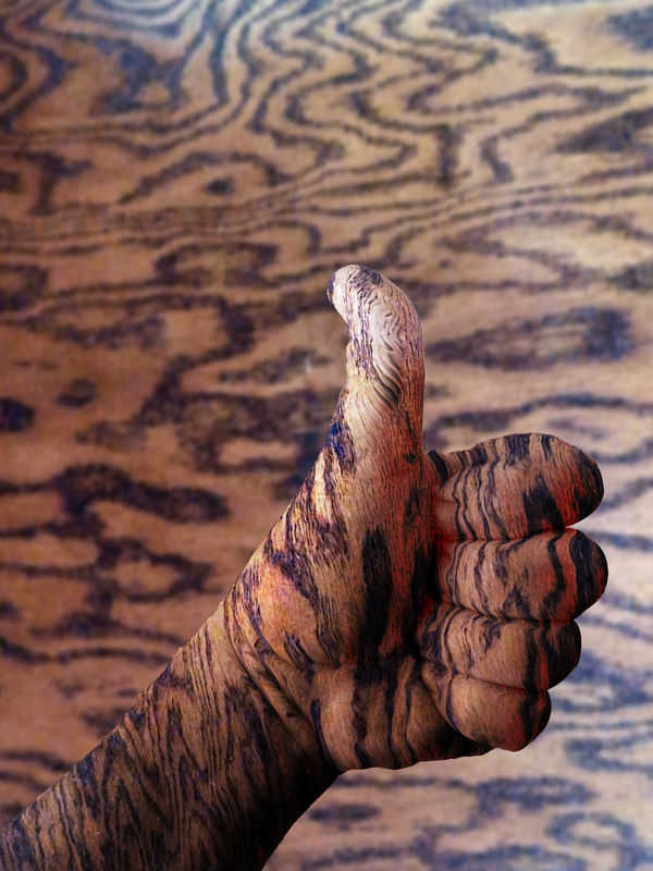 Wooden Hand...
