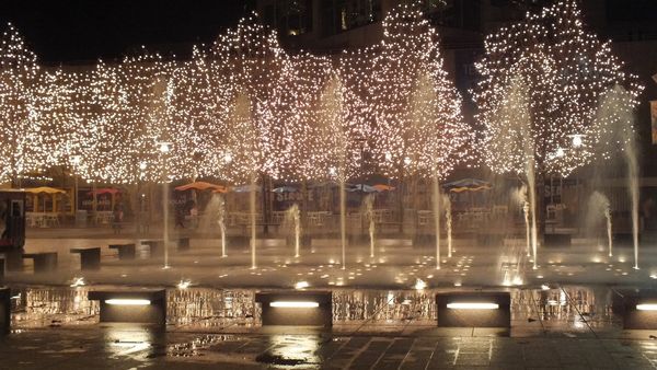 Lighted trees with water spray...
