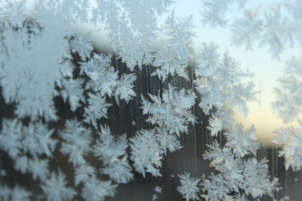 Frost On The Window...