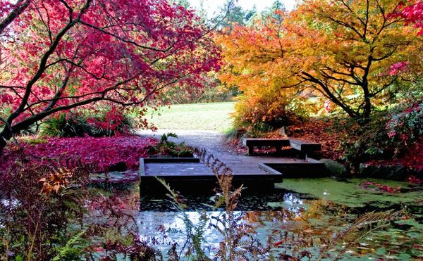 Washington Park Arboretum...