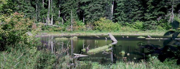 Small Pond in Cascade Mtns....