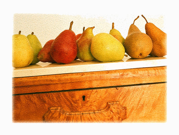 Antique Pears...