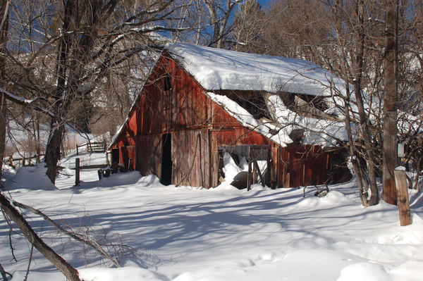 Winter barn...