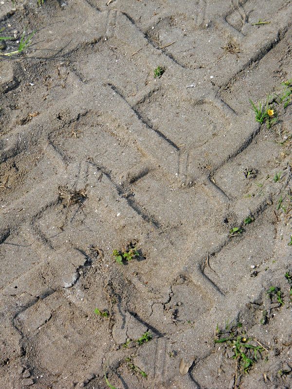 tire tracks...