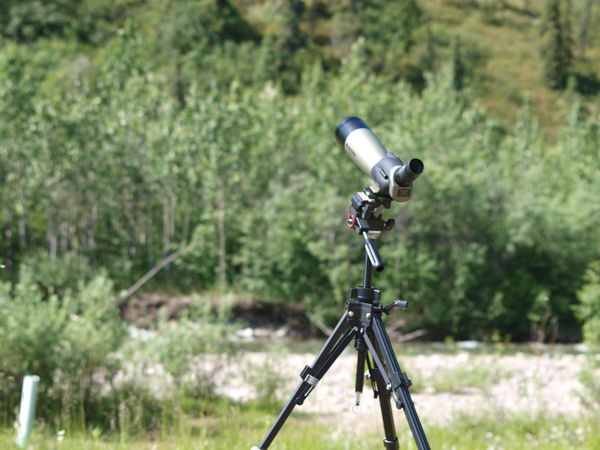 Birding scope - T-Mount apater attaches to eyepiec...