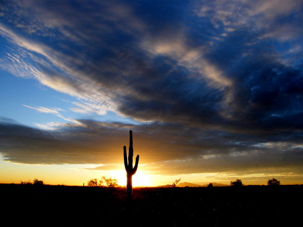A Typical Arizona Sunset...