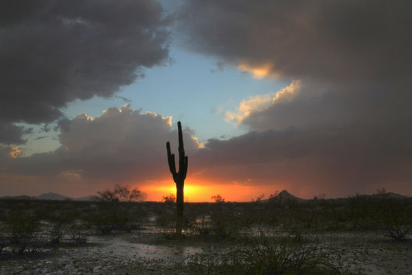 The desert after the storm passed by...