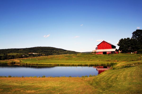 I like the setting of the pond with the barn and t...