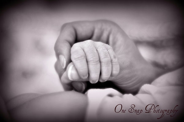 Evan's little hand and his mothers...