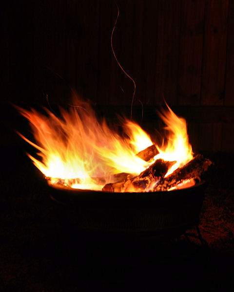 Campfire with one spark climbing skyward...