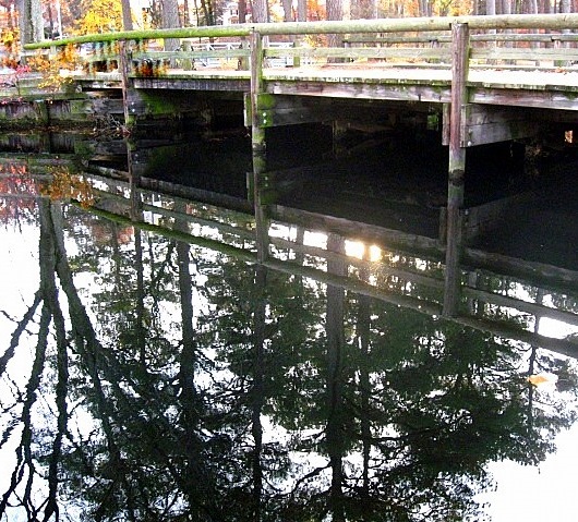 Trees reflected in water under a foot- bridge...