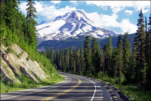 Mt Hood View...