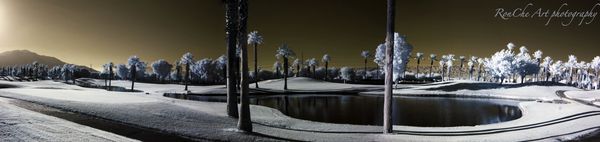 3 shot photomerge with infrared effect...