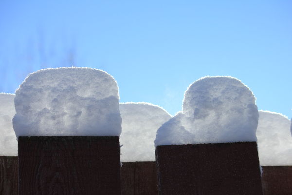 last years snow on the cedar fence...