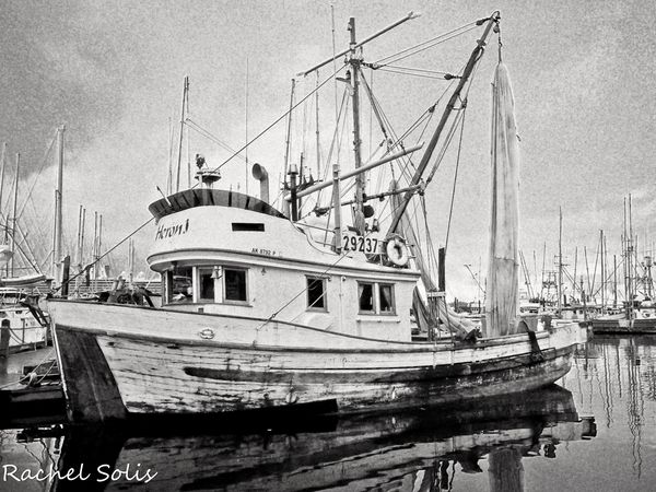 old shrimp boat...