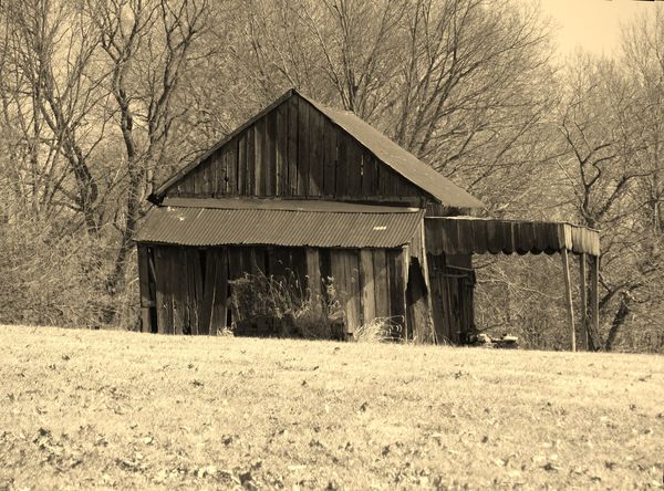 Sepia  This shed was on a hill, but still leaning....