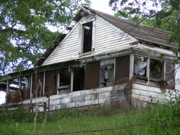 Abandoned Homesite...