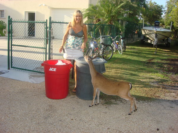 My niece and her pest I mean pet, these key deer w...