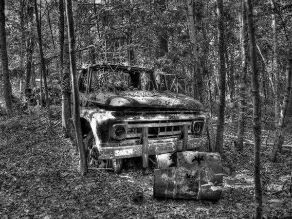 B&W Abandoned Ford in woods...