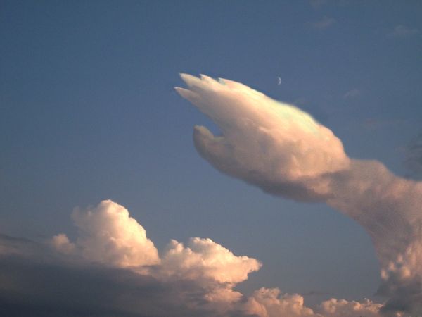 Creepy hand cloud...