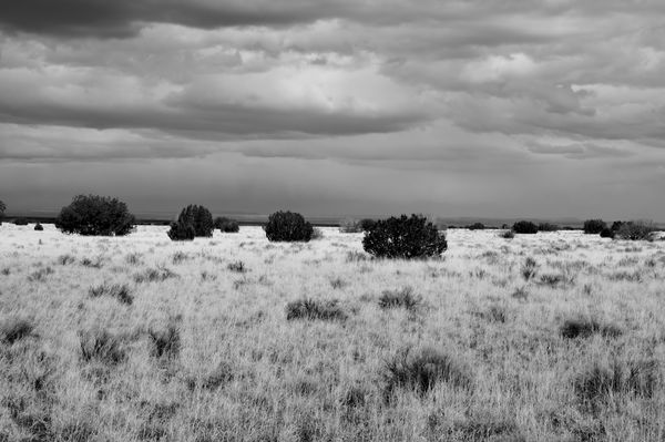 Grasslands Northern Arizona...