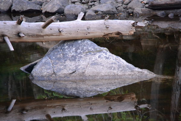 Reflection of rock and tree...
