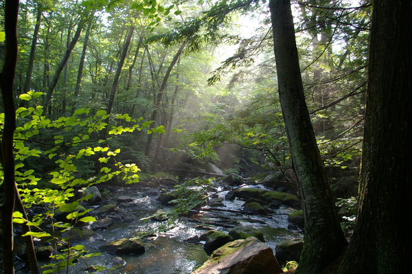 a quiet little brook, Merrimack NH...