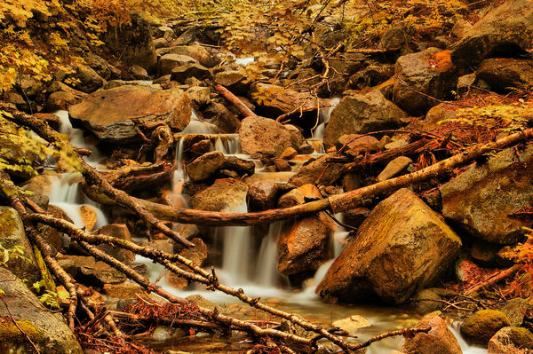 Falling Waters Trail, Franconia Notch , NH...