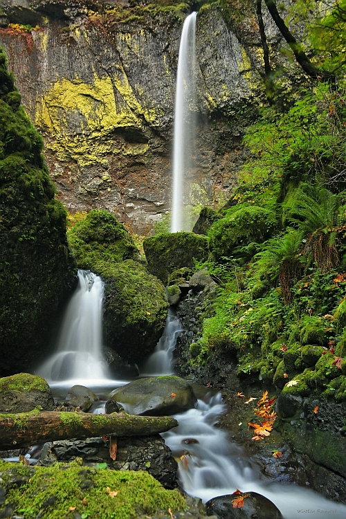 Elowah Falls, Oregon...