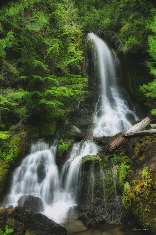 Falls Creek Falls, Mt Rainier NP...