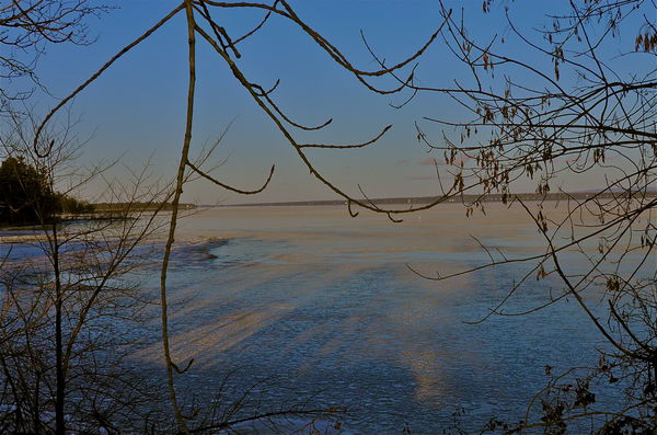 Ice and Lake among the trees.....