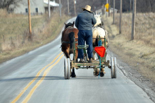 Amish...