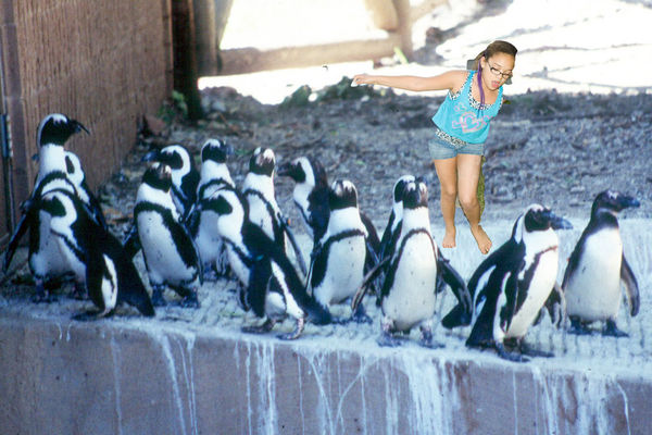 Kiki and penguins...