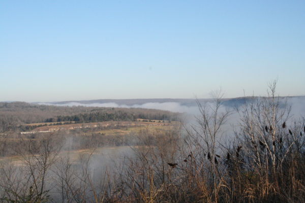 White River Morning Fog...