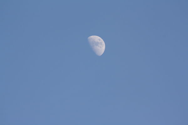 day moon...
