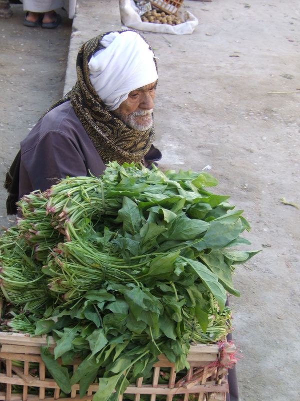 Egyptian vendor...