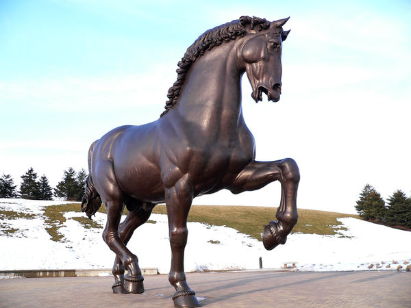 Leonardo Da Vinchi's Horse...