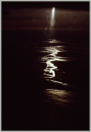 Moonlight on the delta...