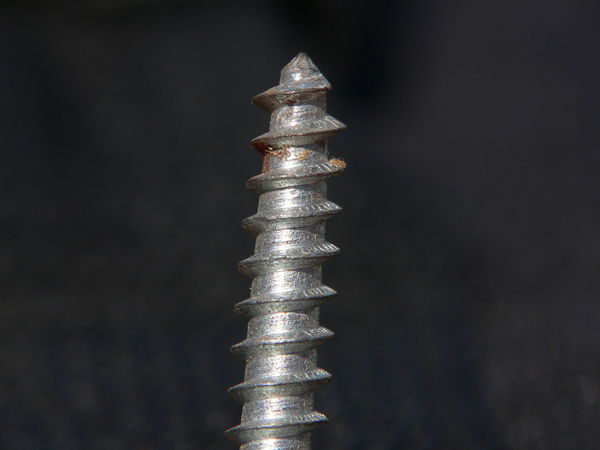 a freshly unscrewed wood screw...