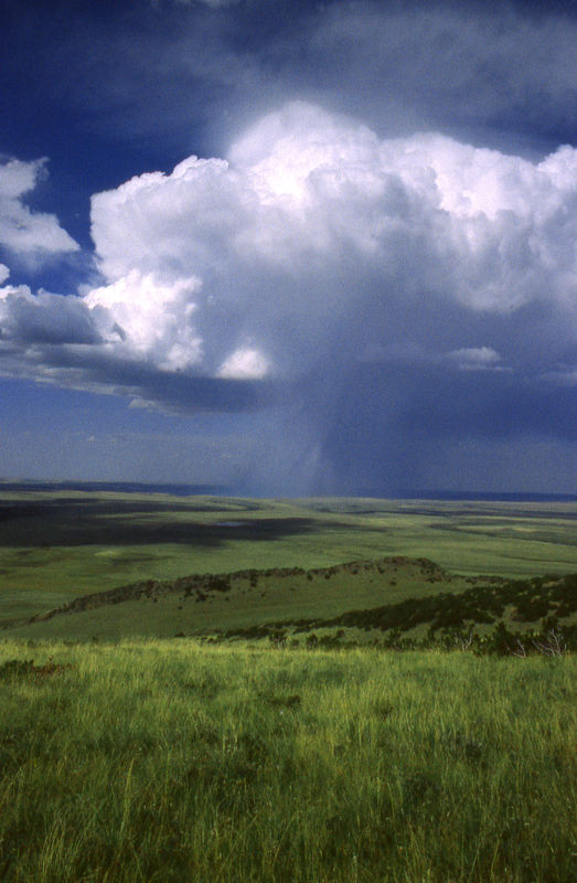 Prairie rainstorm, Central Montana-Spring...