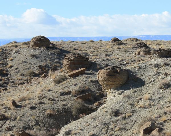 cannonball concretions...