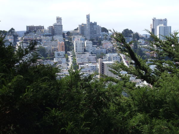 another city shot from up by Coit tower SF...