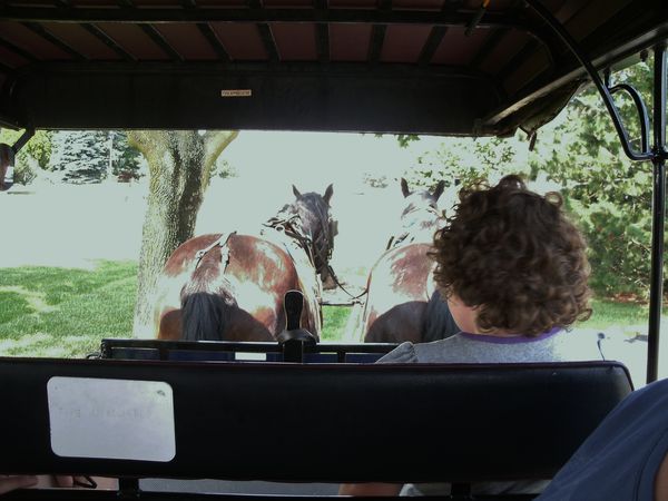 Buggy ride - Lancaster County...