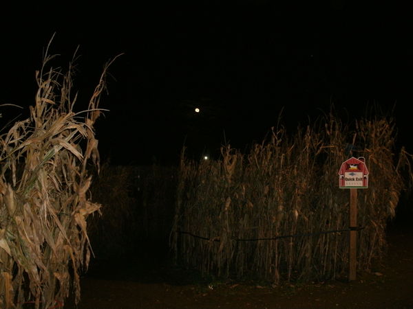 Cherry Crest Corn Maze (Lancaster County) at night...
