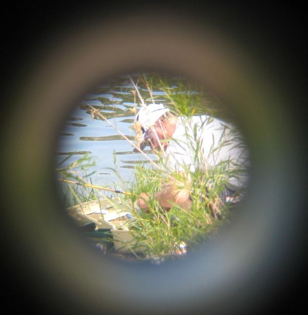 looking through the binoculars...