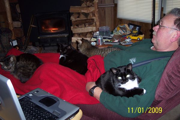 Me and our 4 cats...