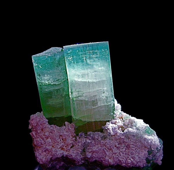 Here are some Tourmaline crystals on a Lepidolite ...
