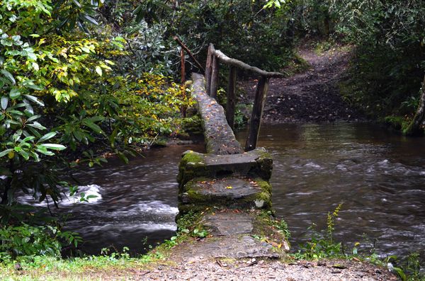 Recycling at its best. Old log foot bridge - Catal...